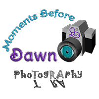 Moments Before Dawn logo